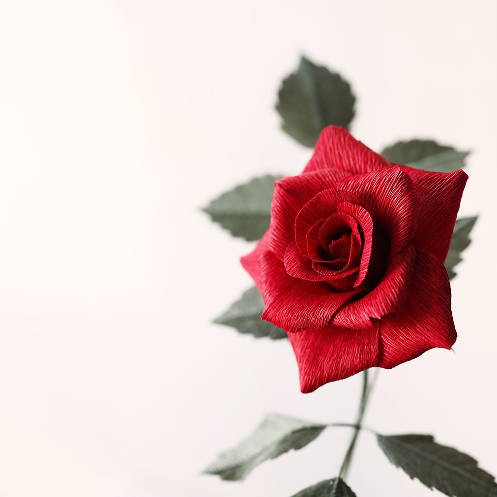 Red crepe paper rose detail