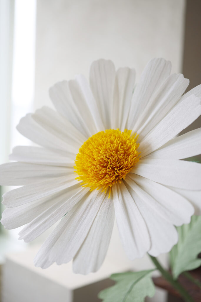 EVACRAFTS giant white paper daisy made with 90 gsm paper and reinforced petals
