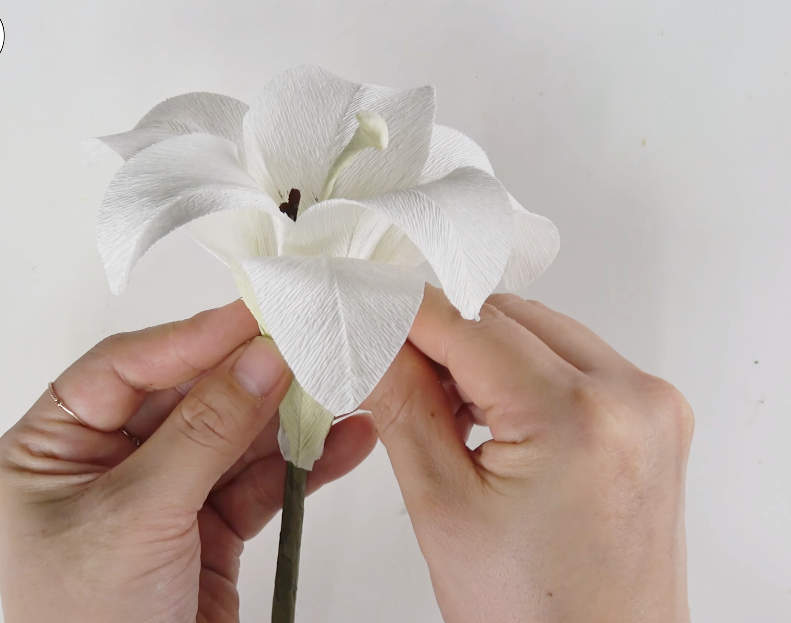 Adding light green pastel color to the base of a white crepe paper lily bud
