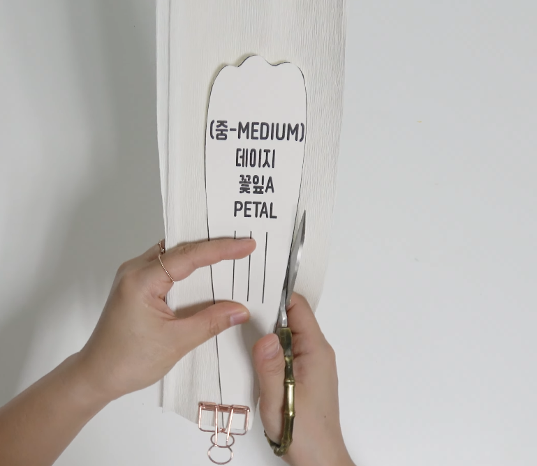 Cutting white crepe paper with a petal template for a giant daisy