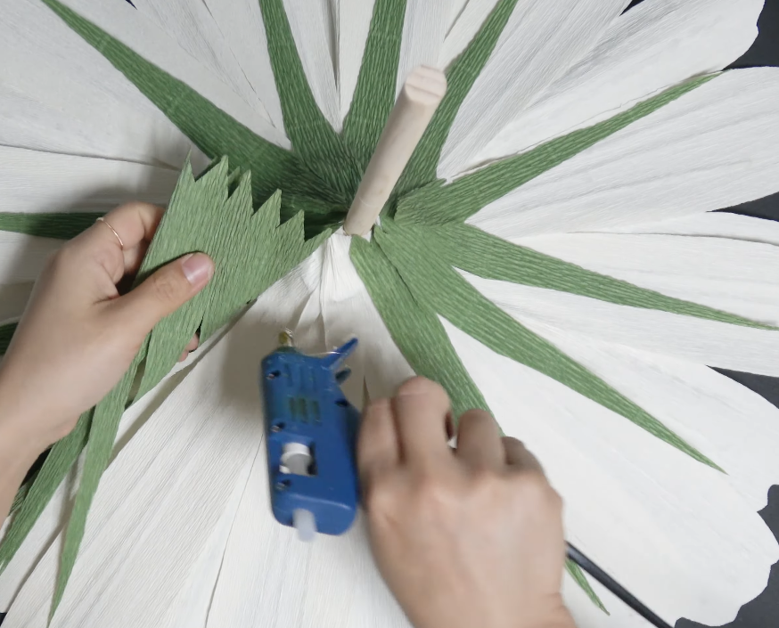 Attaching green crepe paper sepals to the back of a giant daisy flower