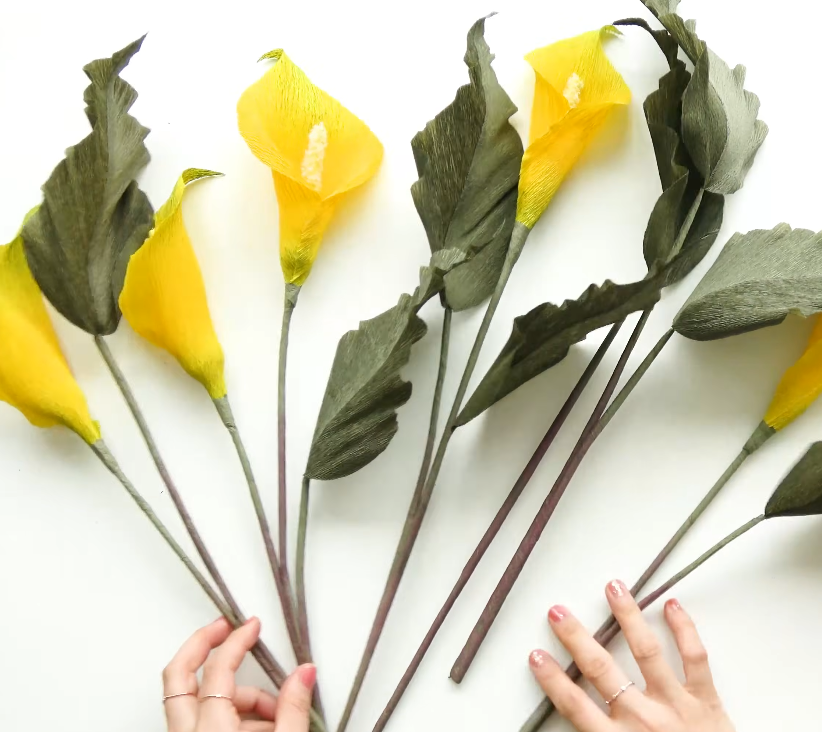 Finished yellow crepe paper calla lilies with handmade dark green leaves