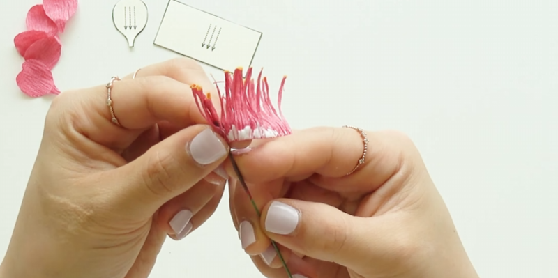 Attaching pink crepe paper stamens around the floral wire