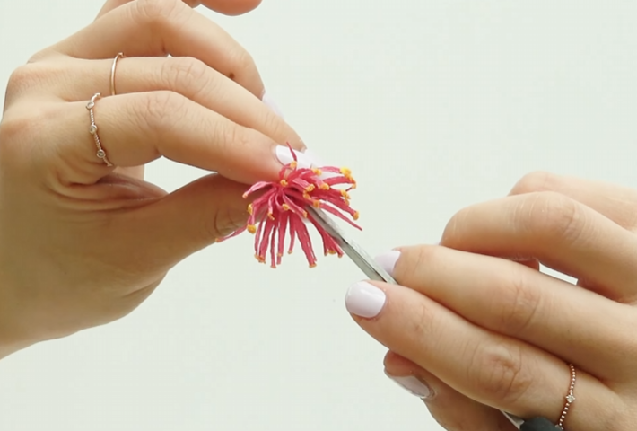Spreading the plum blossom stamens evenly with scissors