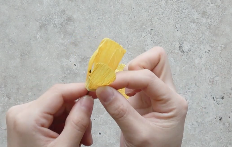 Attaching the first four yellow crepe paper petals around the cosmos flower center