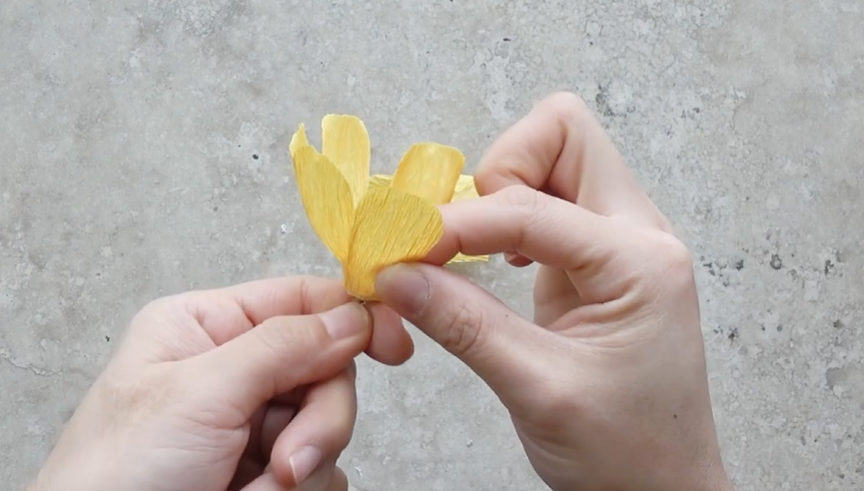Adding four more crepe paper petals between the first petals to complete the cosmos shape