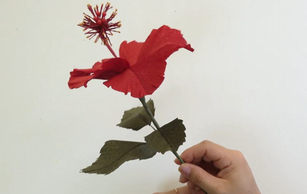 Finished realistic red crepe paper hibiscus flower with handmade leaves and long stem