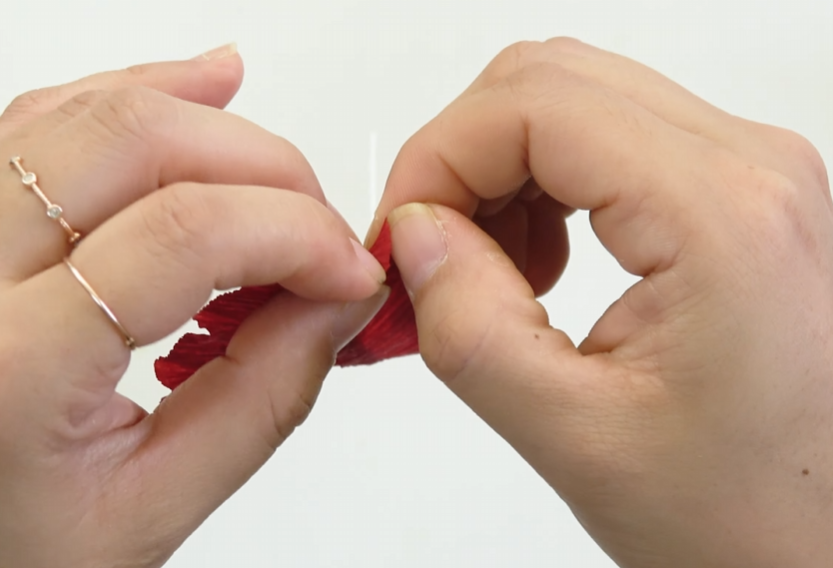 Twisting the edge of a red crepe paper hibiscus petal to create a natural wavy texture