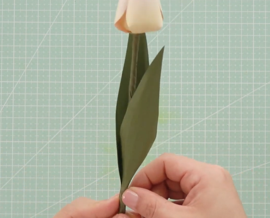 Attaching green paper leaves to the tulip floral stem