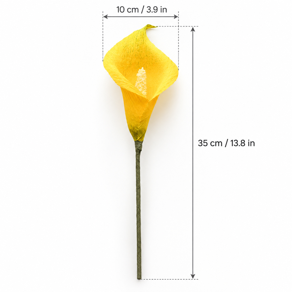 Finished paper calla lily measuring about 10 cm wide and 35 cm long
