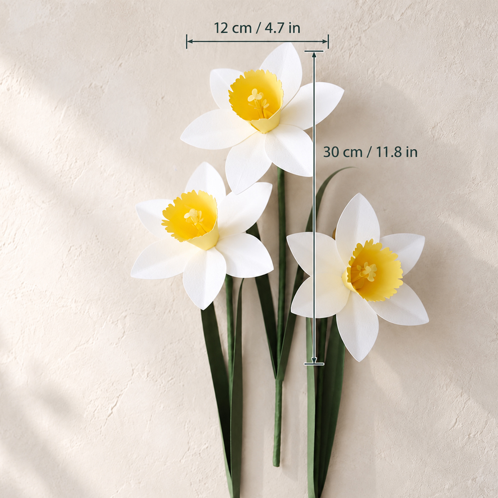 Paper daffodils measuring about 12 cm wide and 30 cm tall with white petals and yellow centers