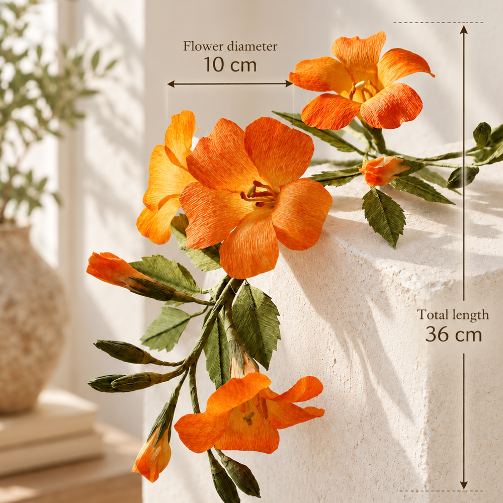 Crepe paper trumpet vine flower size showing a 10 cm flower diameter and 36 cm total vine length