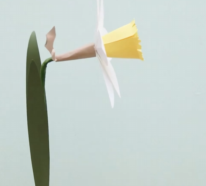 Finished paper daffodil with white petals, yellow trumpet center, brown spathe, and green leaves