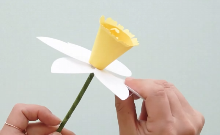 Attaching white petals beneath the yellow corona of the paper daffodil