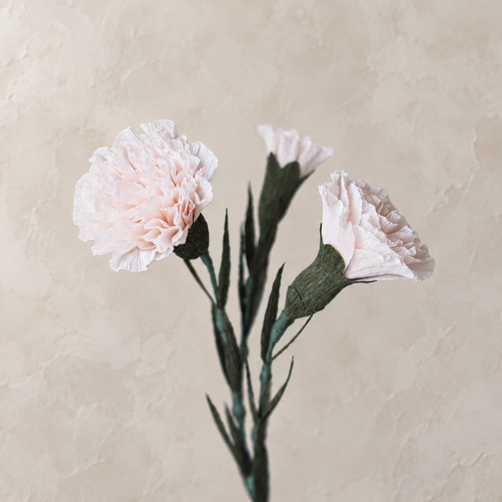 Want a Carnation That Never Wilts? Make This Crepe Paper Carnation 🌸