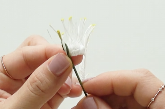 Attaching crepe paper stamens around floral wire to form the blossom center