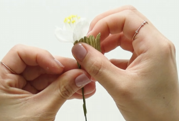 Wrapping a green paper sepal around the base of a white plum blossom
