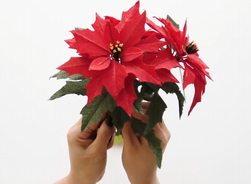Combining handmade red poinsettia blooms and green leaves into a festive Christmas arrangement
